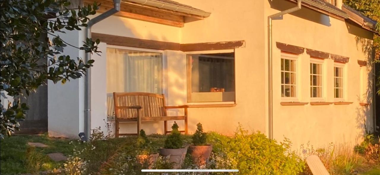 La Dependance De La Villa Des Oiseaux - La Petite Pierre Exterior photo