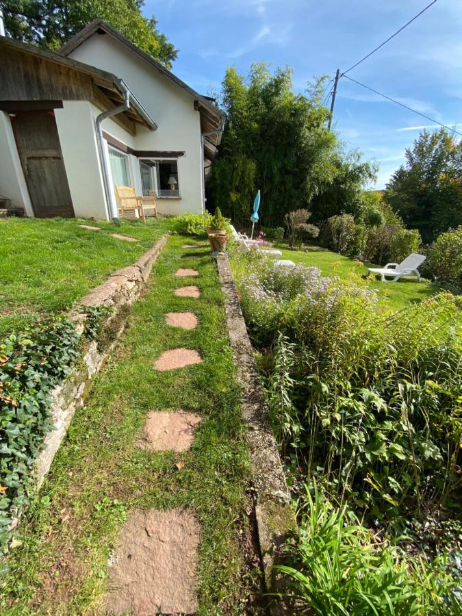 La Dependance De La Villa Des Oiseaux - La Petite Pierre Exterior photo