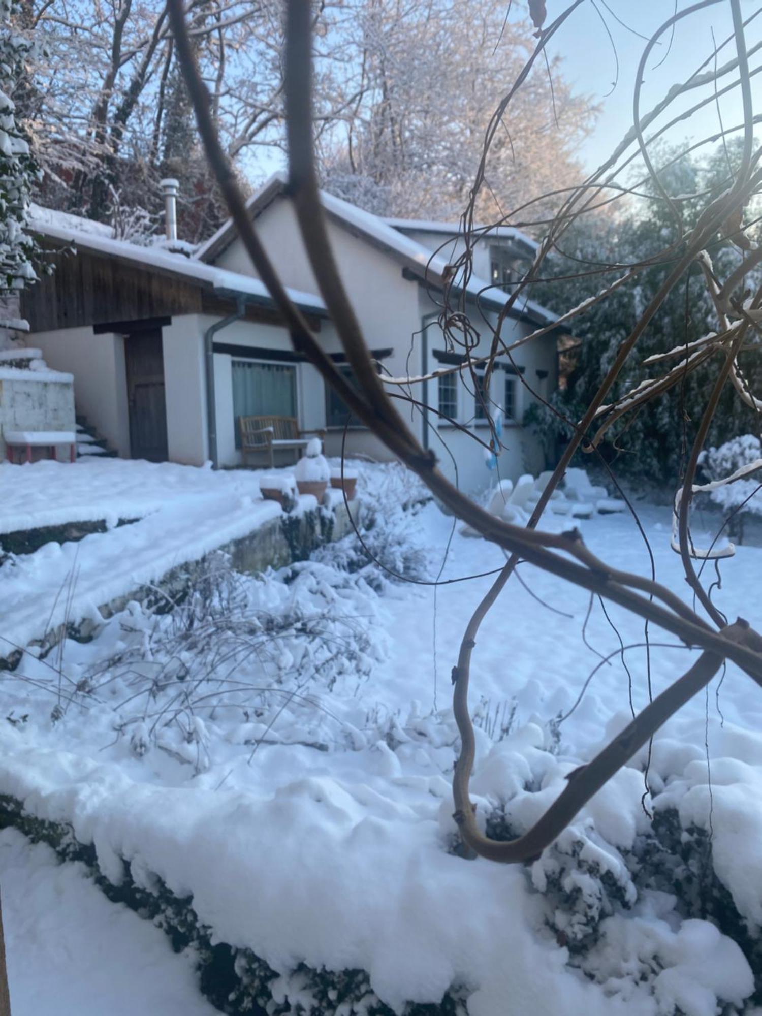 La Dependance De La Villa Des Oiseaux - La Petite Pierre Exterior photo