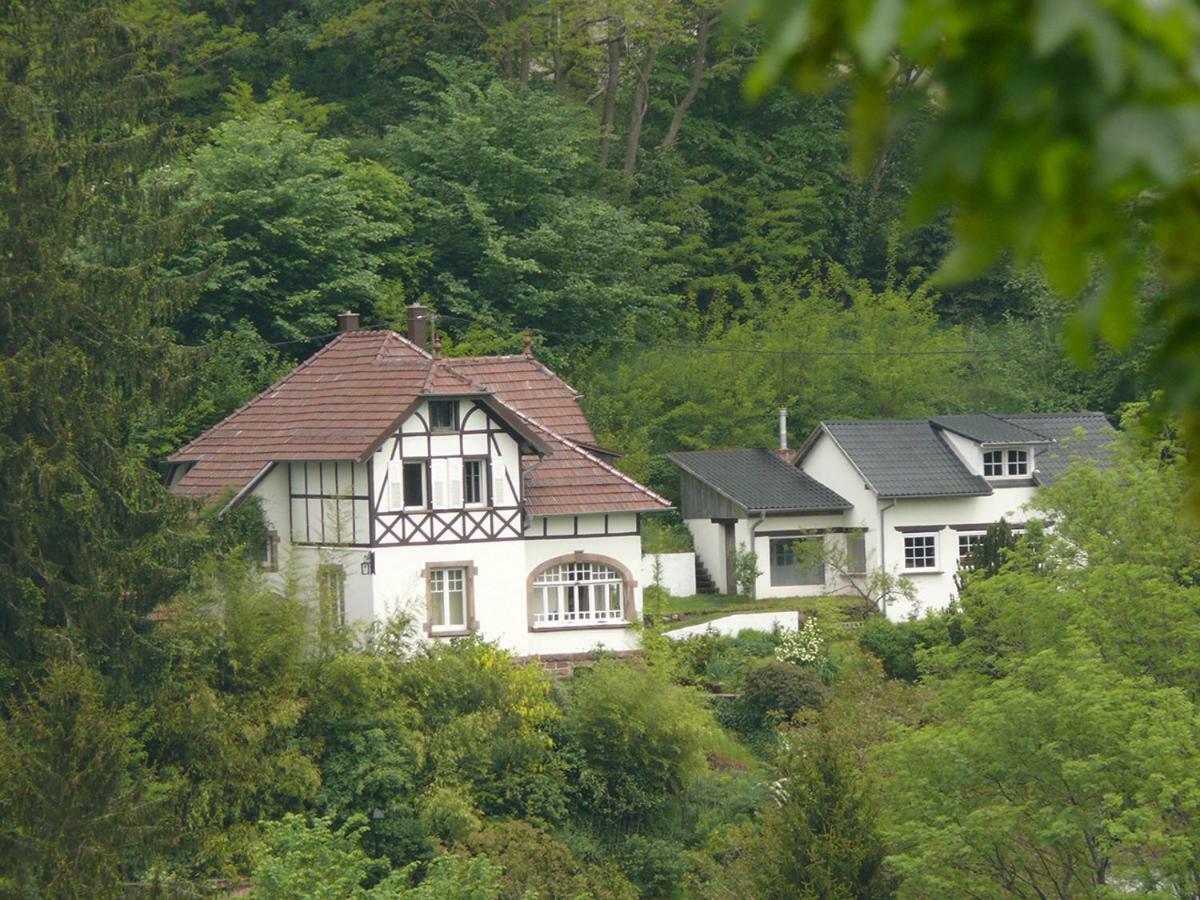 La Dependance De La Villa Des Oiseaux - La Petite Pierre Exterior photo
