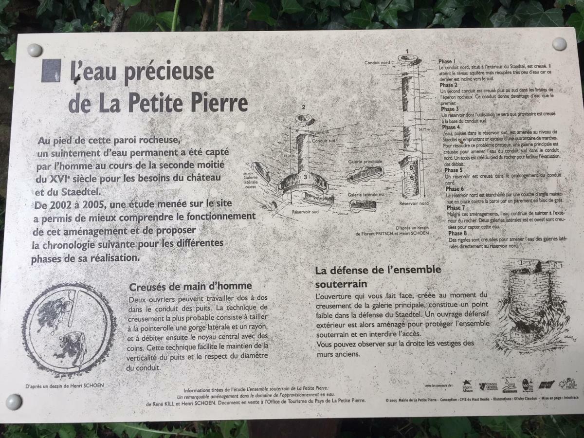 La Dependance De La Villa Des Oiseaux - La Petite Pierre Exterior photo