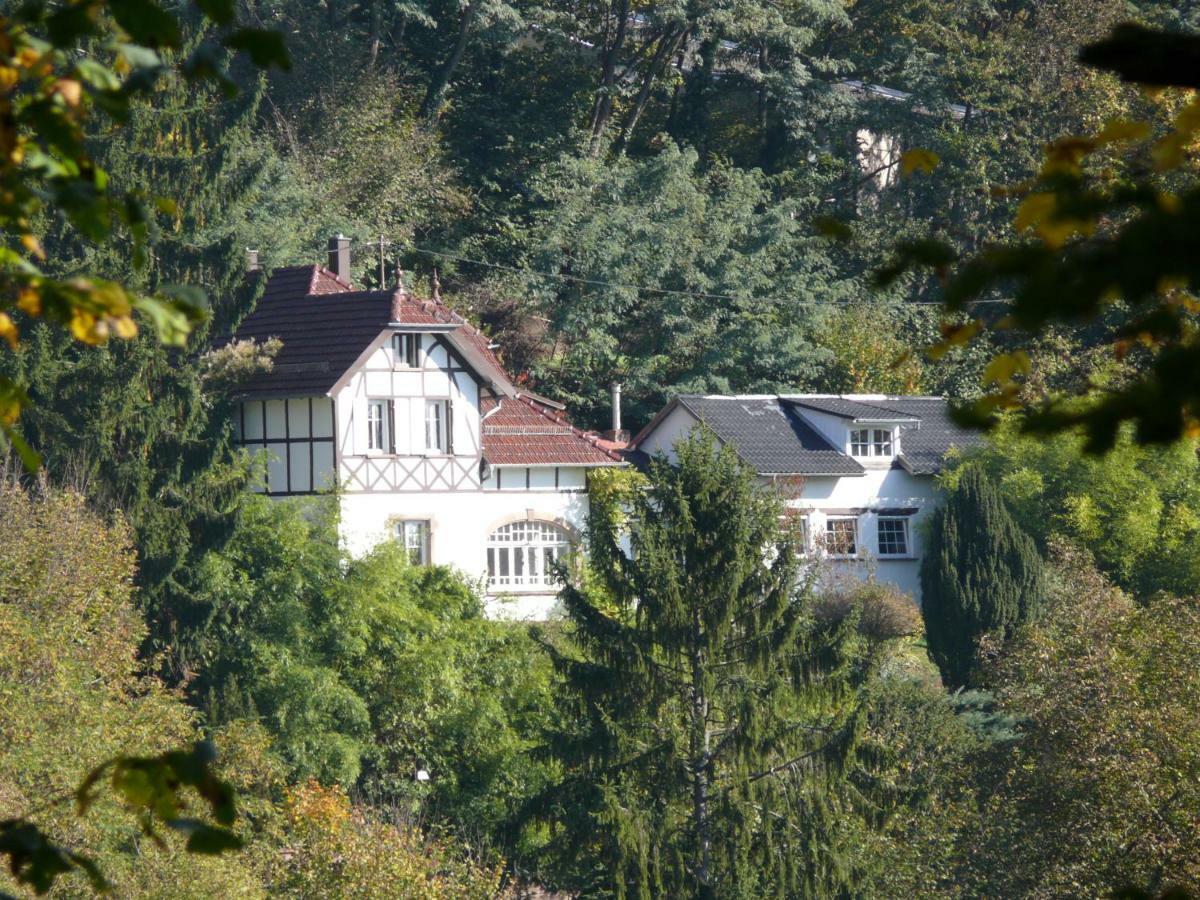 La Dependance De La Villa Des Oiseaux - La Petite Pierre Exterior photo
