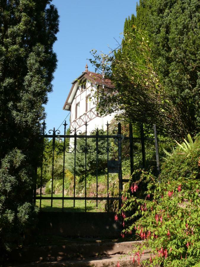 La Dependance De La Villa Des Oiseaux - La Petite Pierre Exterior photo